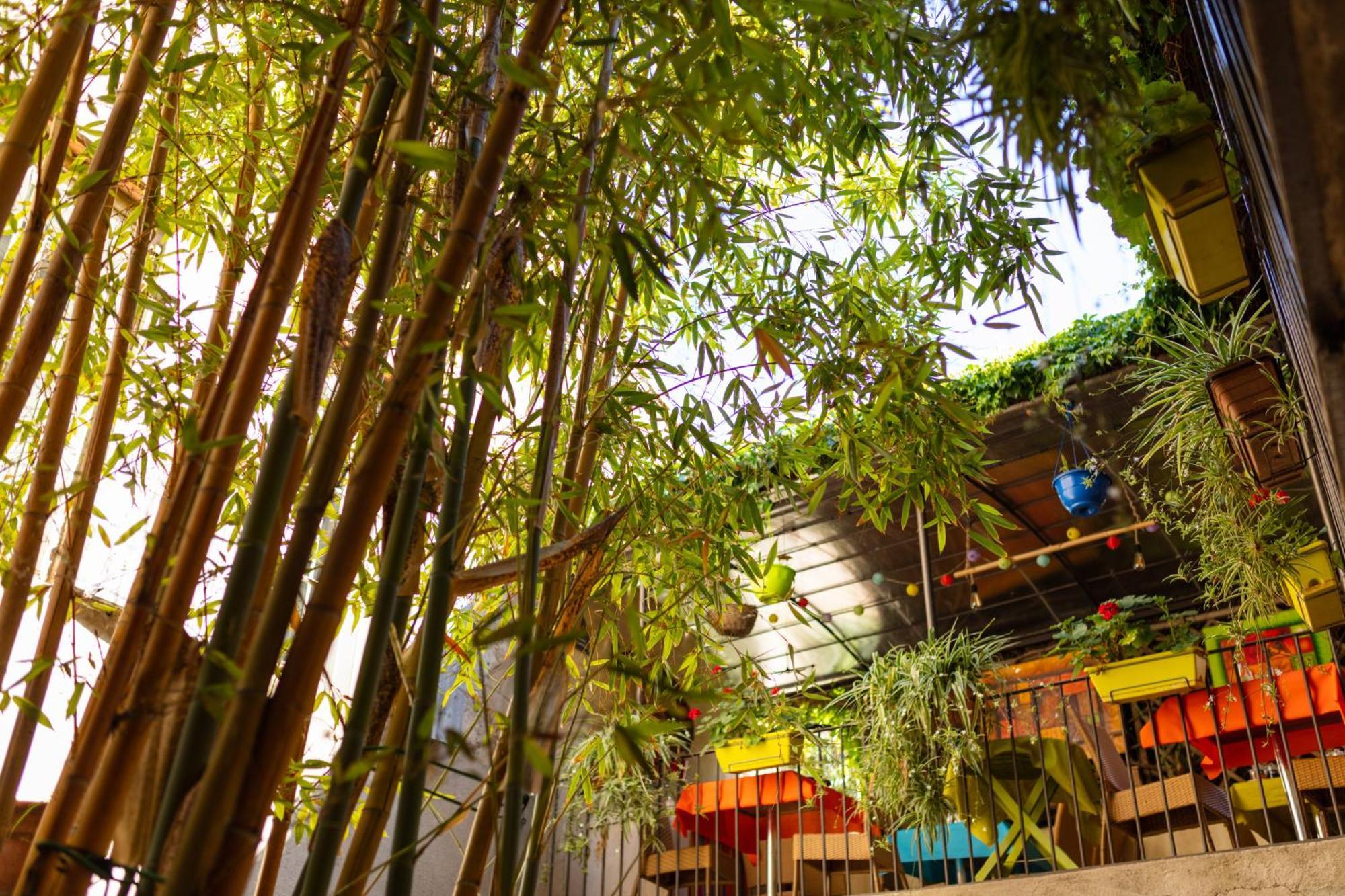 图尔特罗尔住宿加早餐旅馆 里沃萨尔特 外观 照片